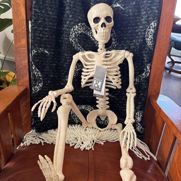 36” x 9.5” Place and Time POSABLE SKELETON NWT - Picture 1 of 9